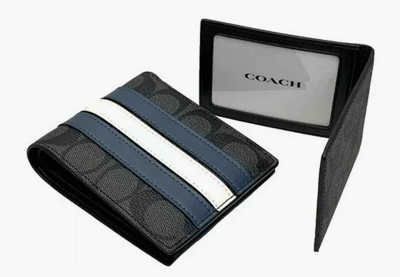 CARTERA COACH 3-1