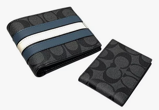 CARTERA COACH 3-1